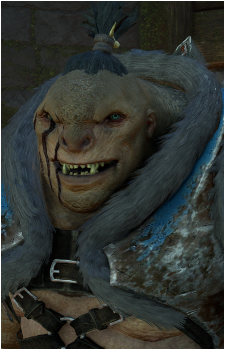 Brûz's image