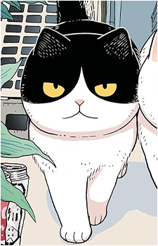 Hachi {Tsureneko}'s image