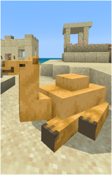 Camel's image