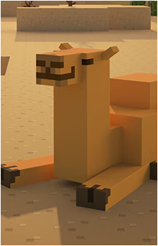 Camel