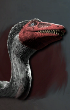 Microraptor zhaoianus's image