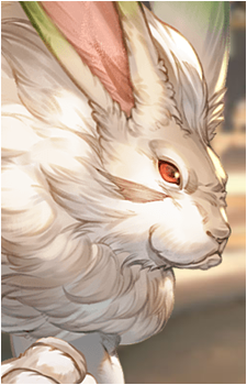 Kyukichi