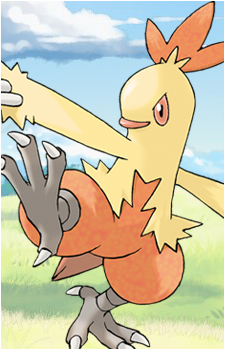 Torchic