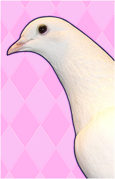 Okosan's image