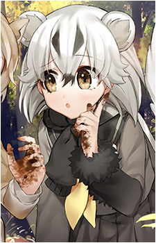 Japanese Badger