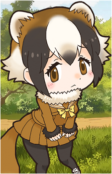 Japanese Badger
