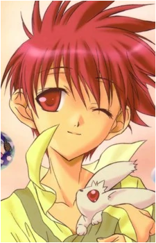 Daisuke Niwa