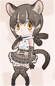 Iriomote Cat