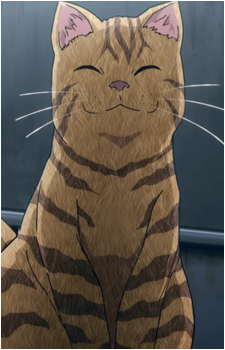 Monster Cat {BnHA}