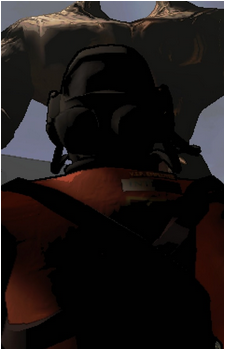 Image 21