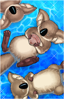 Sea Koala's image