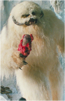 Wampa