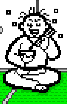 Karate Joe