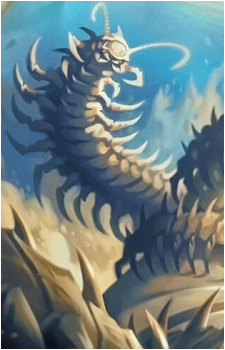 Caetus's image