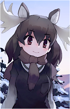 Moose