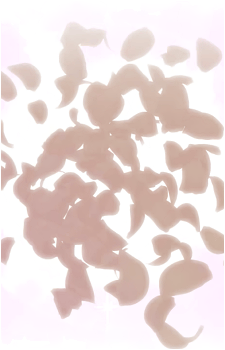 Image 37