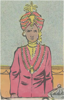 Zalim Singh's image