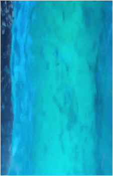 Image 79