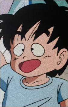Shinseki's image