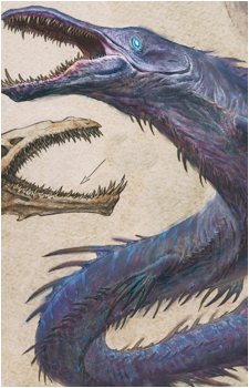 Eluge's image