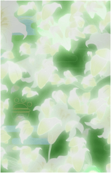 Image 23