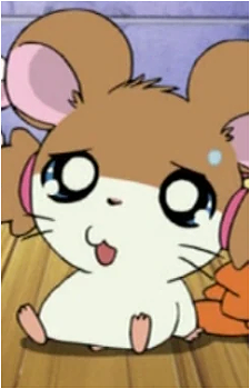 Sparkle's image