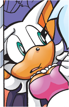 Image 20 of Rouge the Bat