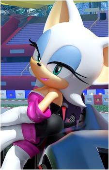 Image 14 of Rouge the Bat