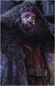 Rubeus Hagrid