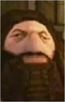 Rubeus Hagrid