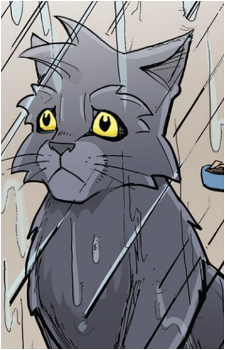 Graystripe