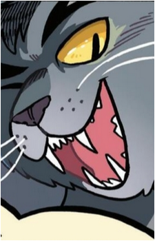 Graystripe