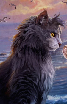 Graystripe
