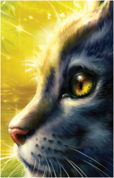 Graystripe