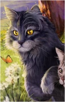 Graystripe