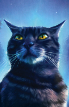 Graystripe