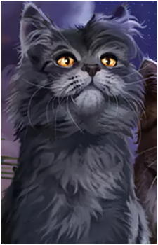 Graystripe