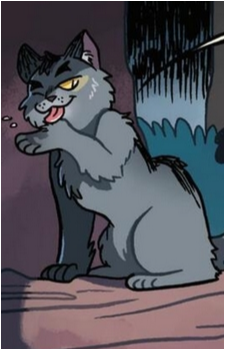 Graystripe