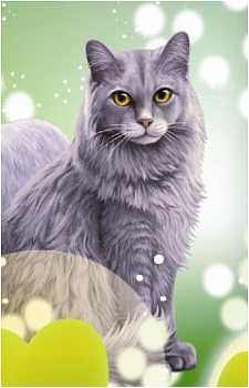 Graystripe