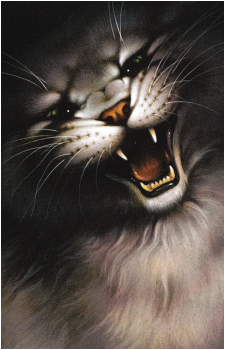 Graystripe