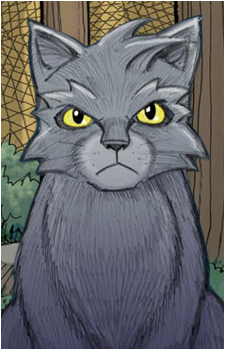 Graystripe