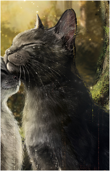 Graystripe