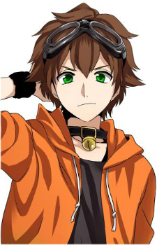 Kogeinu