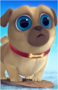 Rolly {PDP}'s image