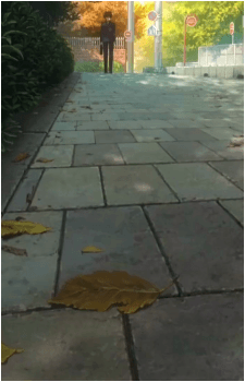 Image 22