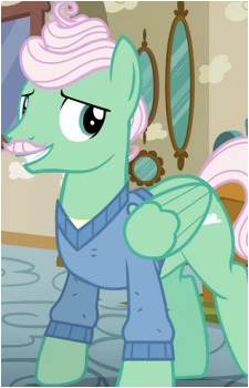 Mr. Shy's image