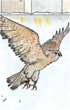 Mordecai {RT}