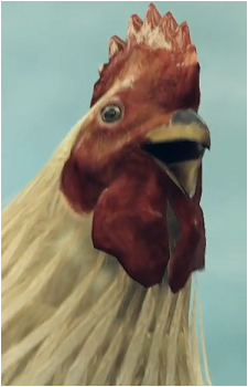 Omelette's image