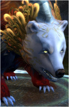 Okku's image