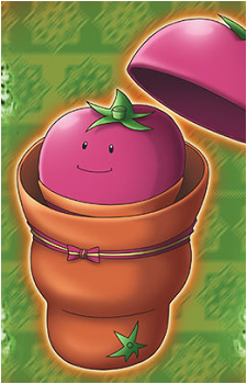 Tomato in Tomato's image